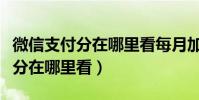 微信支付分在哪里看每月加多少分(微信支付分在哪里看)