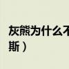 灰熊為什么不裁掉帕森斯（灰熊為什么簽帕森斯）