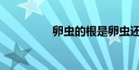 卵蟲的根是卵蟲還是痂?