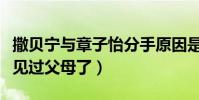撒貝寧與章子怡分手原因是什么(兩人曾經都見過父母了)