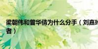 梁朝偉和曾華倩為什么分手(劉嘉玲被爆是他們之間的第三者)