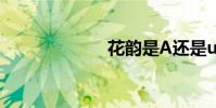 花韻是A還是ua?