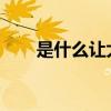 是什么讓大海出錯的故事的主要內容