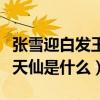張雪迎白發王妃絕美劇照曝光（網友：這不是天仙是什么）