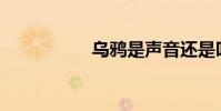 烏鴉是聲音還是叫聲?