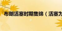 布朗活塞時期集錦(活塞為什么不要布朗)