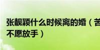 張靚穎什么時候離的婚(苦苦煎熬又為何遲遲不愿放手)