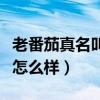 老番茄真名叫什么（被抄襲的老番茄實力究竟怎么樣）