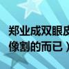 鄭業成雙眼皮是割的嗎（他的雙眼皮只是長得像割的而已）
