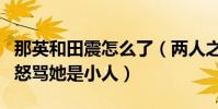那英和田震怎么了(兩人之間分歧很多后者曾怒罵她是小人)