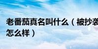 老番茄真名叫什么(被抄襲的老番茄實力究竟怎么樣)