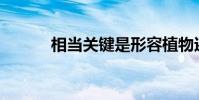 相當關鍵是形容植物還是天氣?
