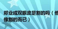 鄭業成雙眼皮是割的嗎(他的雙眼皮只是長得像割的而已)