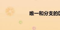 唯一和分支的區別