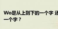 Wo是從上到下的一個字 還是從橫向到縱向的一個字?