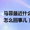 馬蓉最近什么樣（眾多網友怒罵馬蓉蹭熱度是怎么回事兒）