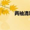 兩袖清風的故事和主人公的介紹