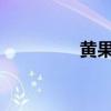 黃果樹瀑布的文字與欣賞