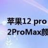 蘋果12 pro max哪個顏色不掉漆（iPhone12ProMax顏色怎么選）