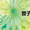曾子的文言文翻譯與原文
