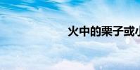 火中的栗子或小米
