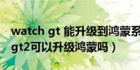 watch gt 能升級到鴻蒙系統嗎(華為watchgt2可以升級鴻蒙嗎)