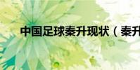 中國足球秦升現狀(秦升為什么中乙)