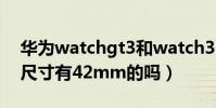 華為watchgt3和watch3(華為watchGT3尺寸有42mm的嗎)