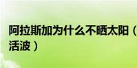 阿拉斯加為什么不曬太陽(阿拉斯加為什么不活波)