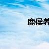 鹿侯養鳥的文言文翻譯及寓意