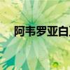 阿韋羅亞白豆腐（阿韋羅亞為什么豆腐）