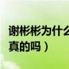 謝彬彬為什么不火（謝彬彬與闞清子的戀情是真的嗎）