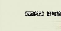 《西游記》好句摘抄賞析