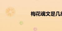 梅花魂文是幾級?