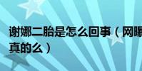 謝娜二胎是怎么回事(網曝謝娜已經懷孕這是真的么)