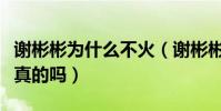 謝彬彬為什么不火(謝彬彬與闞清子的戀情是真的嗎)