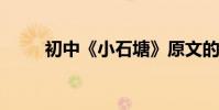 初中《小石塘》原文的翻譯與賞析