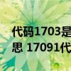代碼1703是什么意思（17091代碼是什么意思 17091代碼怎么解決）