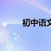 初中語文基礎知識總評絕對干貨！