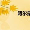阿爾是復元音還是特殊元音？