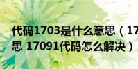 代碼1703是什么意思(17091代碼是什么意思 17091代碼怎么解決)