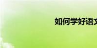 如何學好語文
