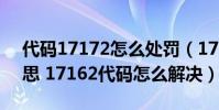 代碼17172怎么處罰(17162代碼是什么意思 17162代碼怎么解決)