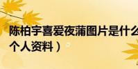 陳柏宇喜愛夜蒲圖片是什么梗(起底陳柏宇的個人資料)