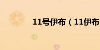 11號伊布(11伊布為什么)