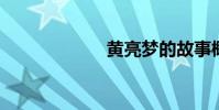黃亮夢的故事概述