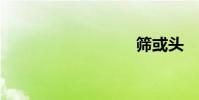 篩或頭