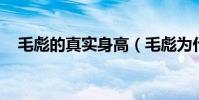 毛彪的真實身高(毛彪為什么被黑 虎撲)