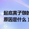 起底黃子珈的個人資料（黃子珈與趙胤胤分手原因是什么）