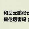 和岳云鵬張云雷比為什么張鶴倫不會再火（張鶴倫厲害嗎）